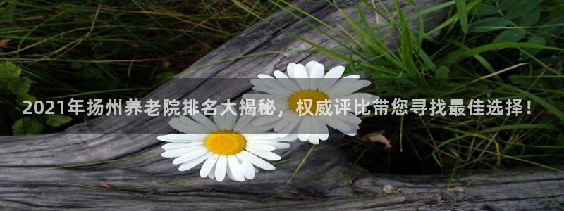韦德1946游戏