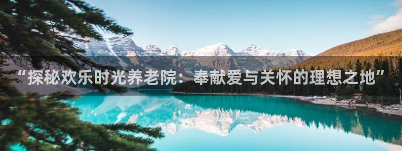 韦德网址是多少