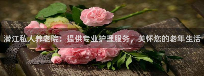 韦德1946手机版