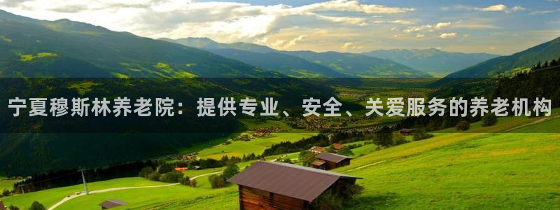 韦德是哪一届