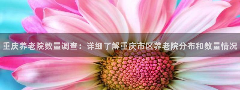 韦德1946官方网站