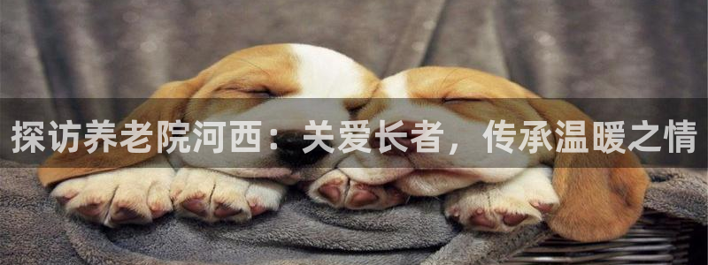 韦德 网站