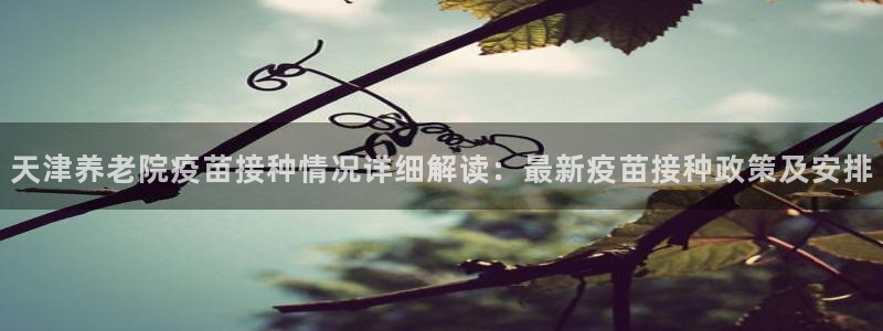 韦德1946客户端