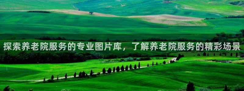 韦德国际体育