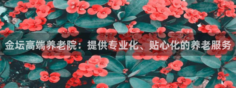 韦德网站是多少