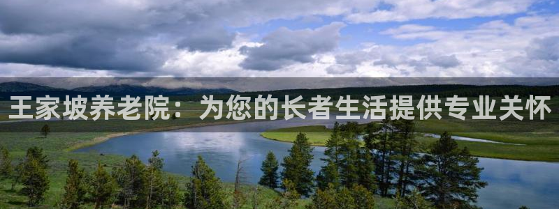 韦德1946始于英国