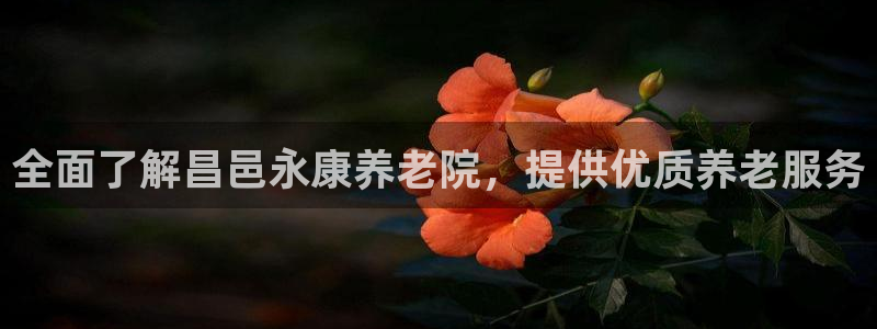 1946 韦德