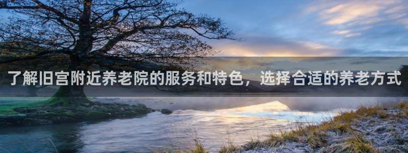 韦德网址是多少