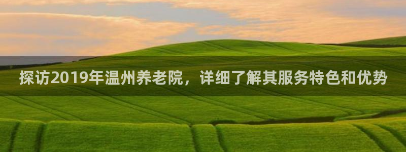 韦德网站是多少