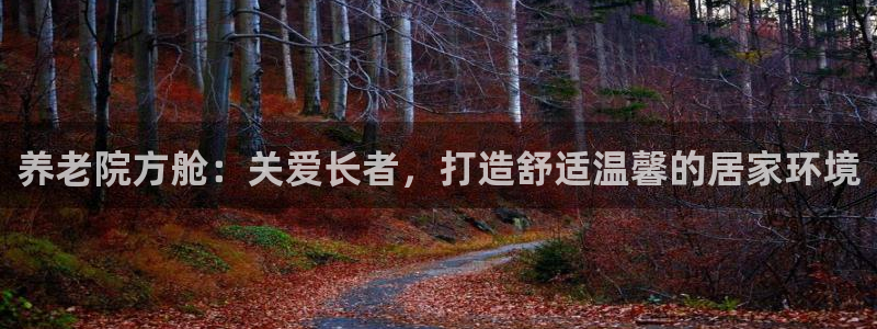 韦德2014