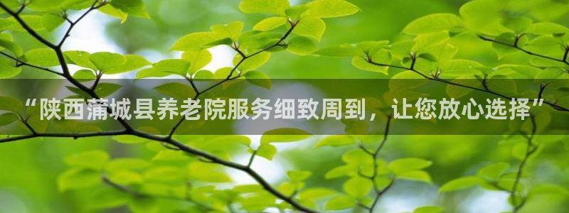 韦德网站是多少