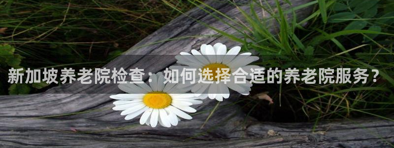 韦德2014