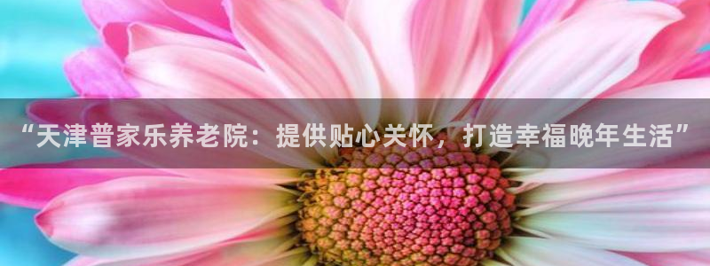 韦德官方网址大全