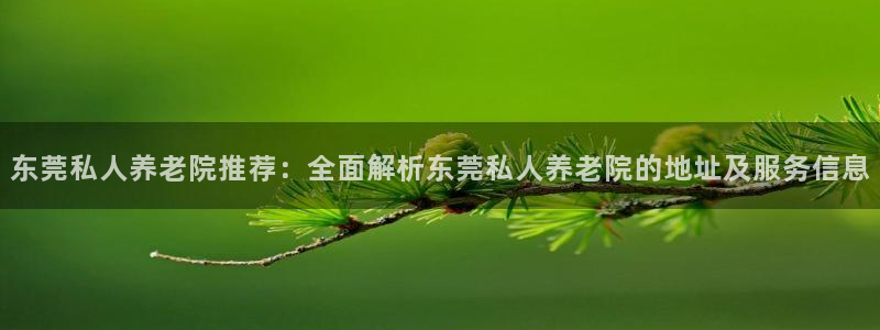 韦德合集