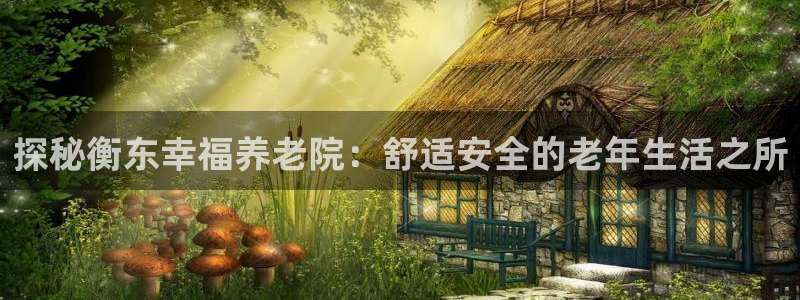 韦德游戏是什么