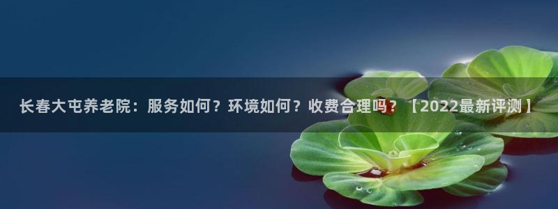 韦德1946源自英国