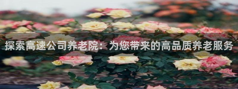 韦德是哪一届