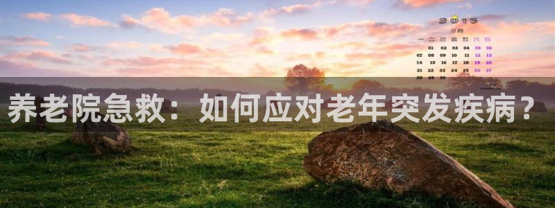 韦德1946始于英国