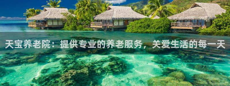 韦德观战总决赛G3