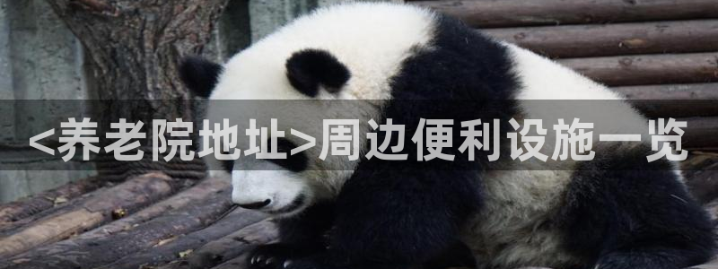 韦德是哪一届