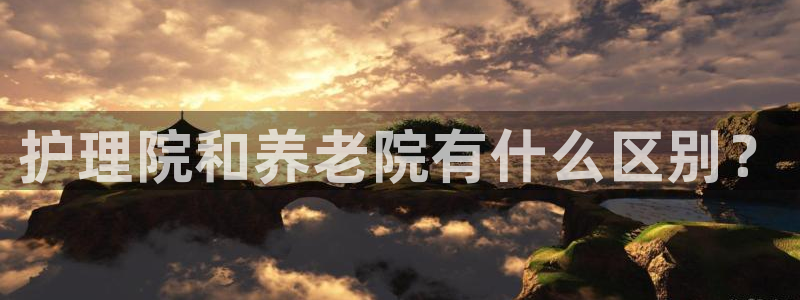 韦德 网站