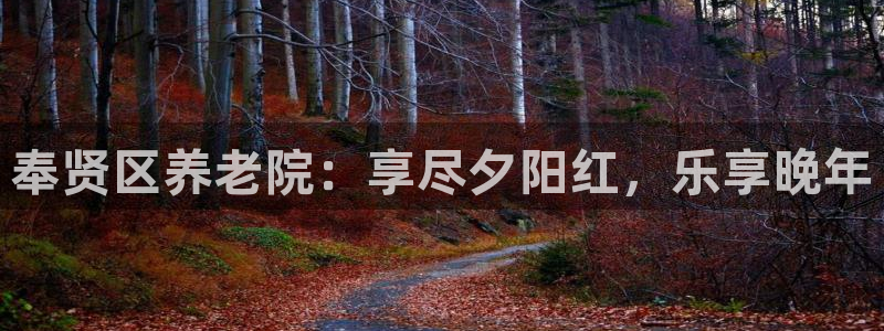 韦德新品