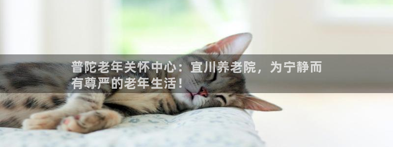 韦德事件