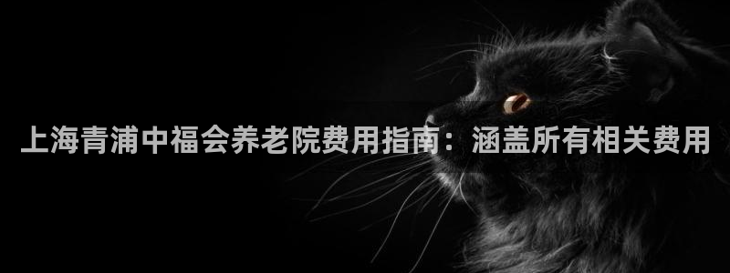 韦德游戏是什么