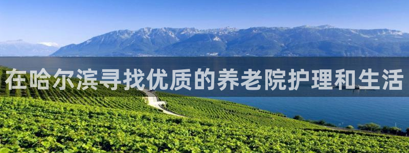 1946韦德网站