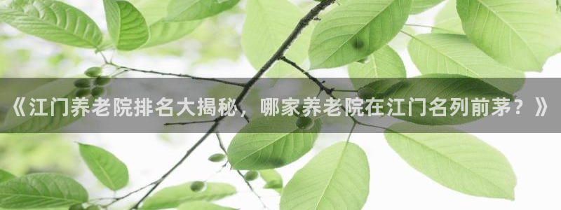 韦德的游戏