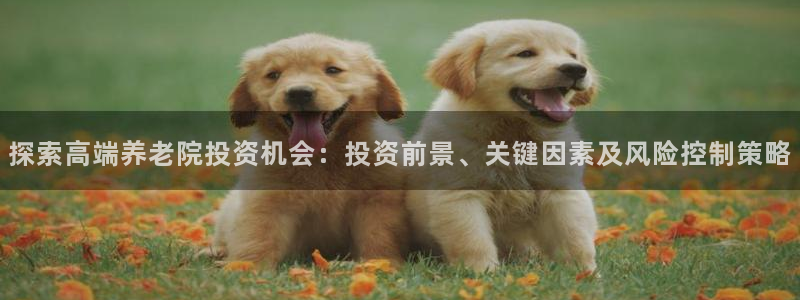 韦德8月22日开启中国行