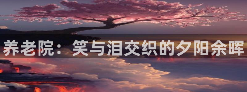 韦德新品