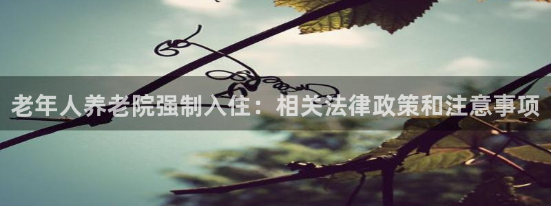 韦德事件