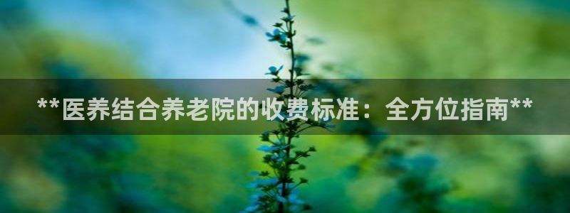 韦德1946国际