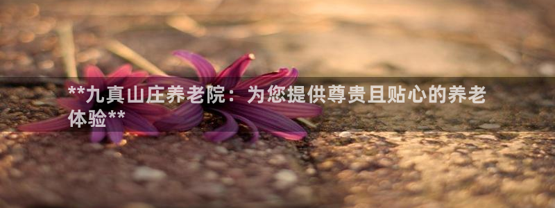 韦德1946备用网站