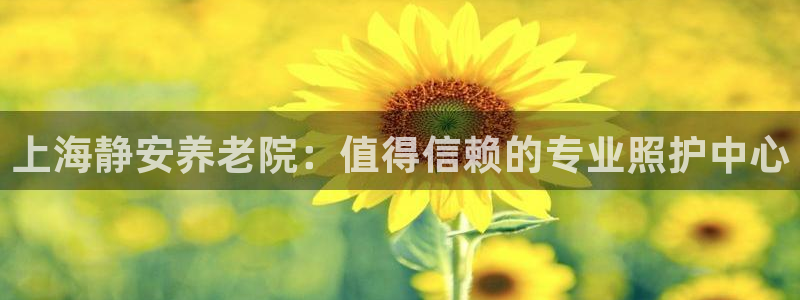 韦德属于什么