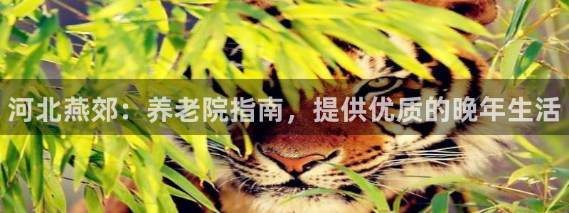 韦德2016