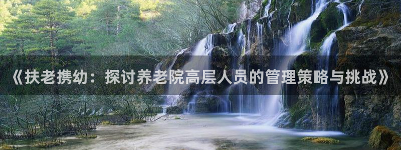 韦德游戏是什么
