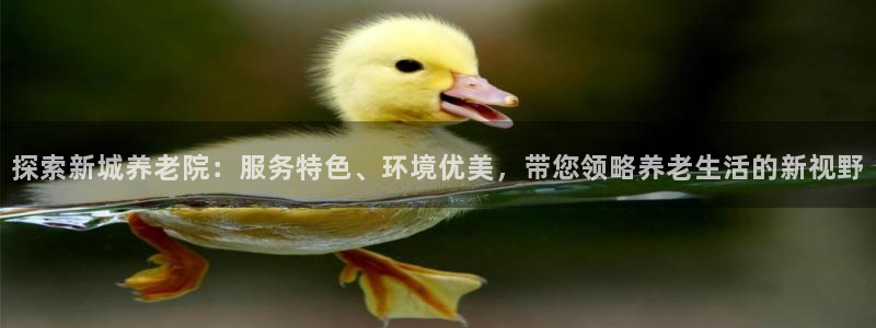 韦德2014