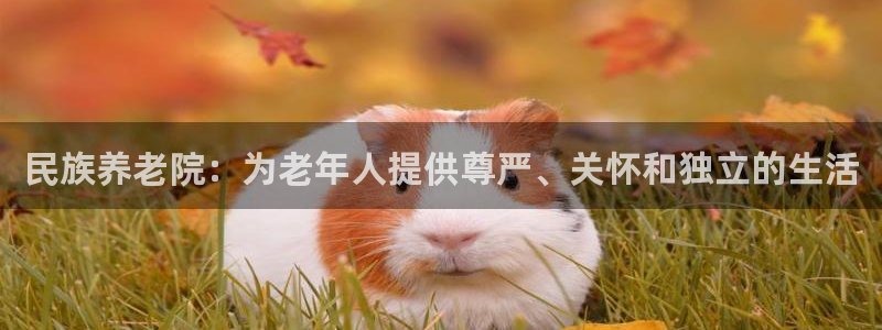韦德的游戏