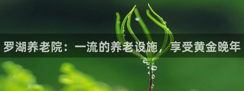 韦德1946备用网站