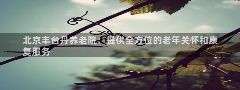韦德新品
