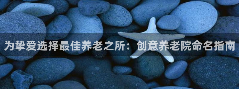 韦德1946官网最新版
