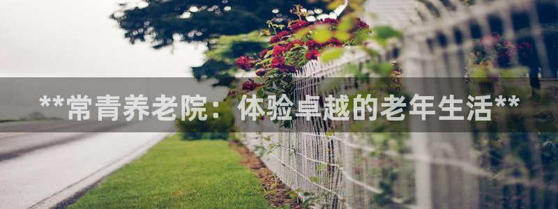 韦德1946官方