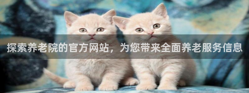 韦德app手机下载