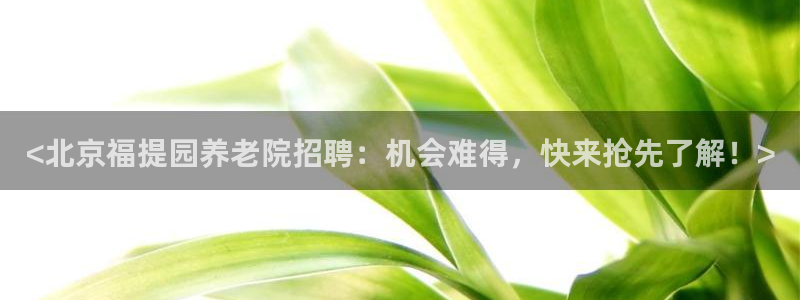 韦德1946bet